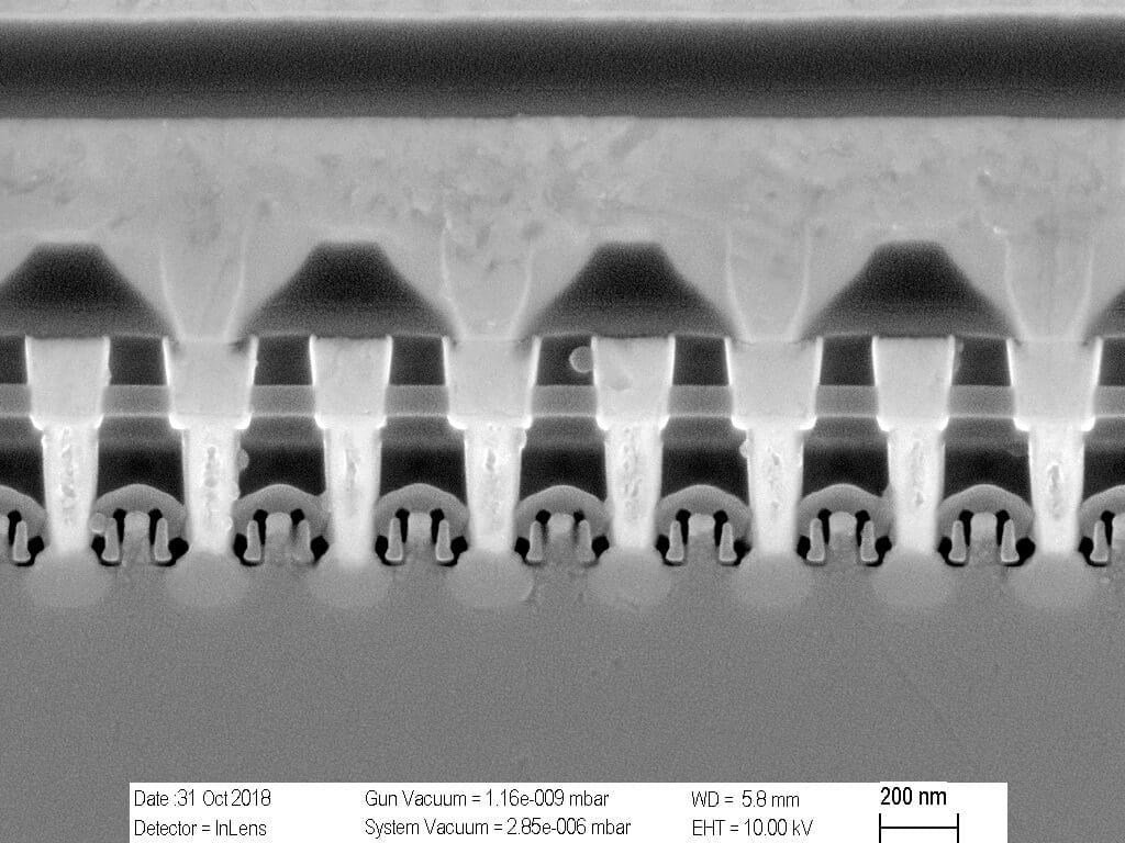 Cross section image